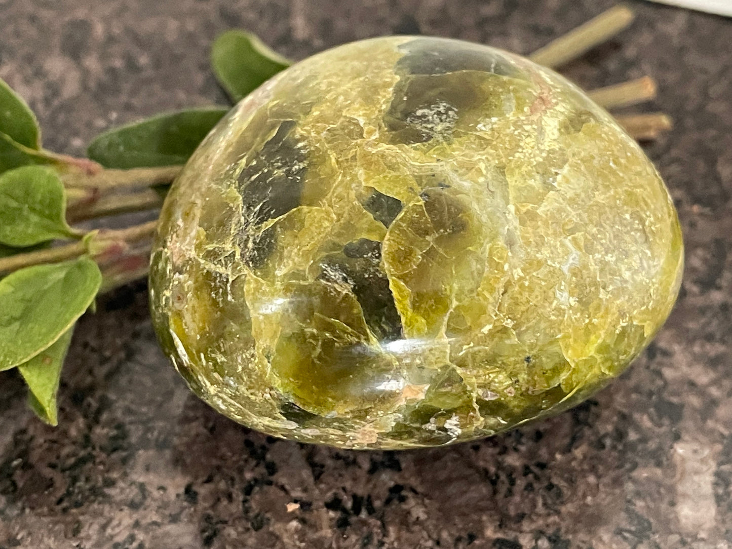 Healing Green Opal Palm crystal