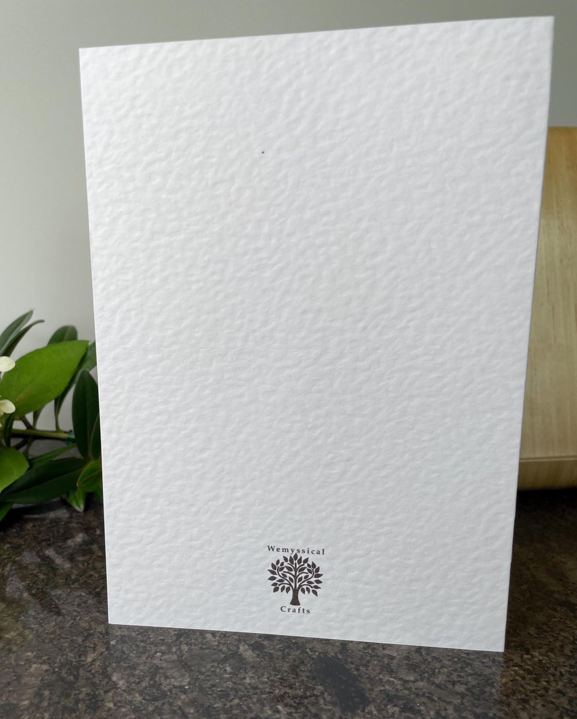 Lunar Moth Thank you Greetings Card