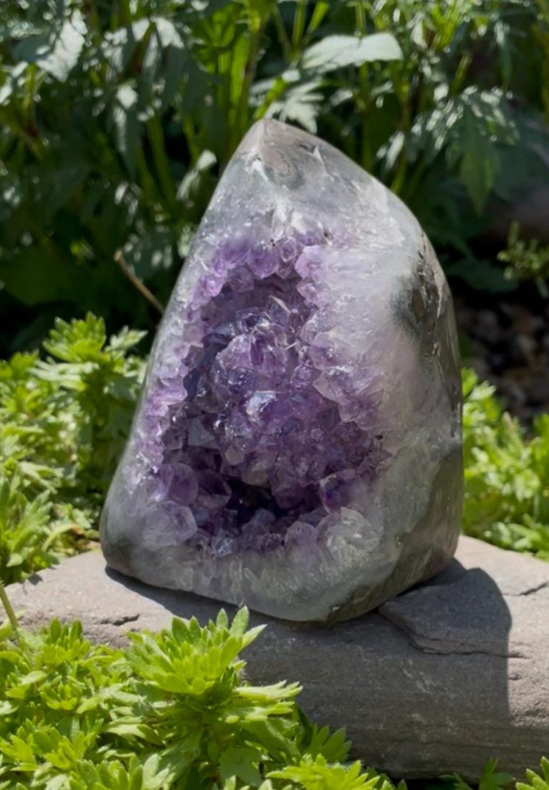Unique Bulbous Amethyst Geode