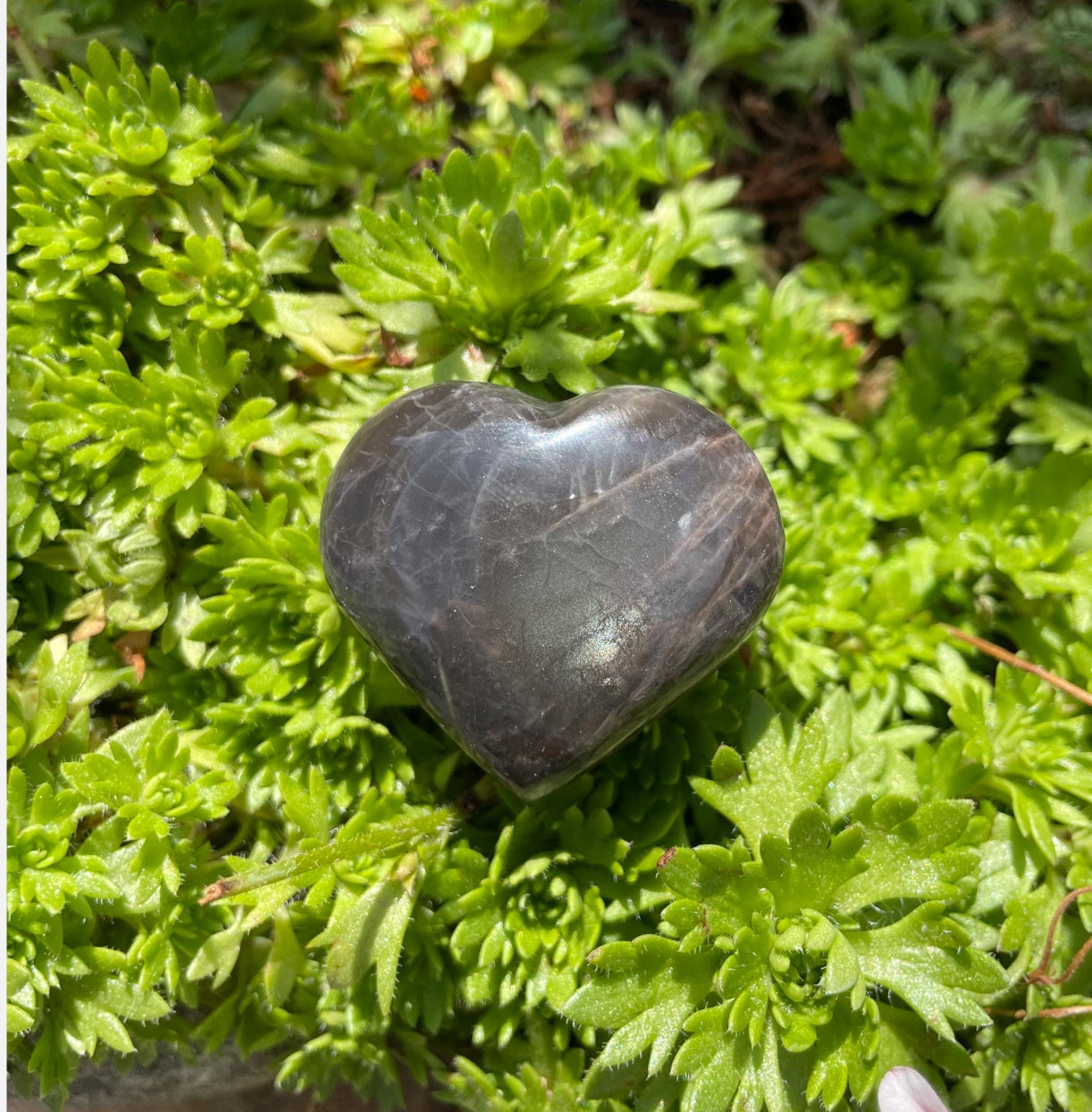 Black Moonstone Pocket Hearts