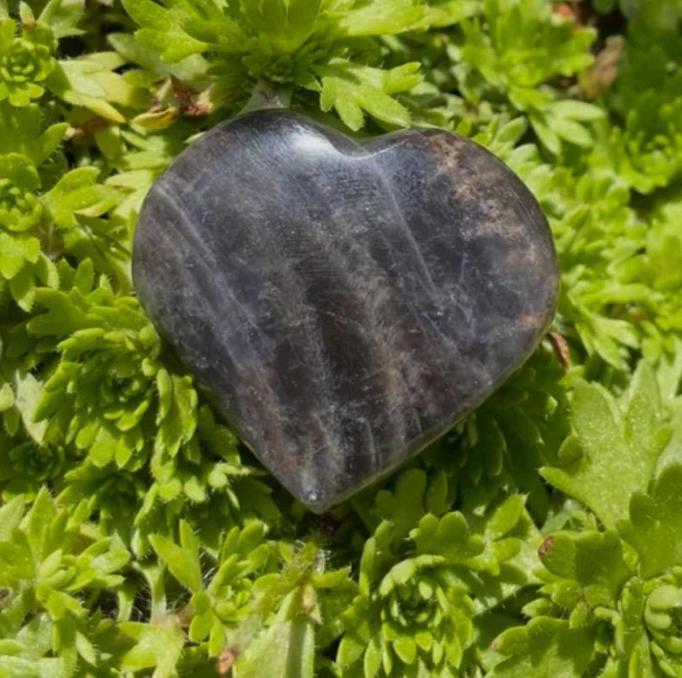 Black Moonstone Pocket Hearts