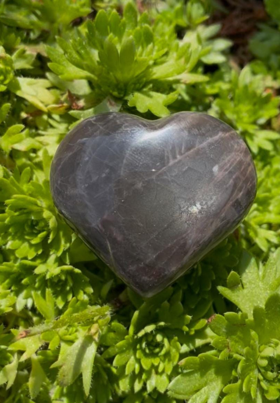 Black Moonstone Pocket Hearts