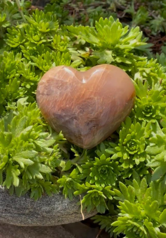 Delightful Peach Moonstone Pocket Hearts.