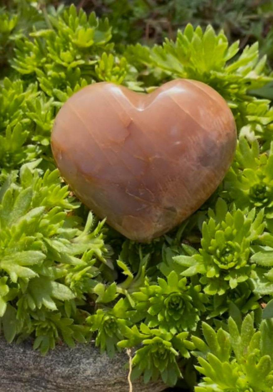 Delightful Peach Moonstone Pocket Hearts.
