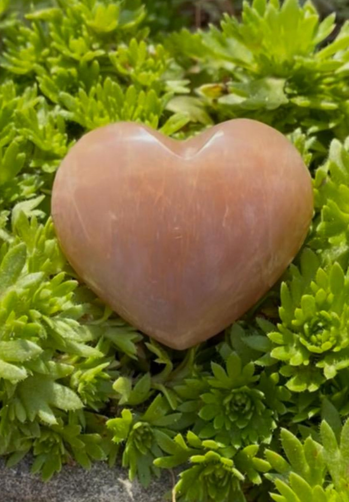 Delightful Peach Moonstone Pocket Hearts.