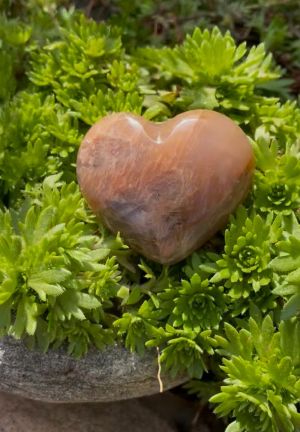 Delightful Peach Moonstone Pocket Hearts.