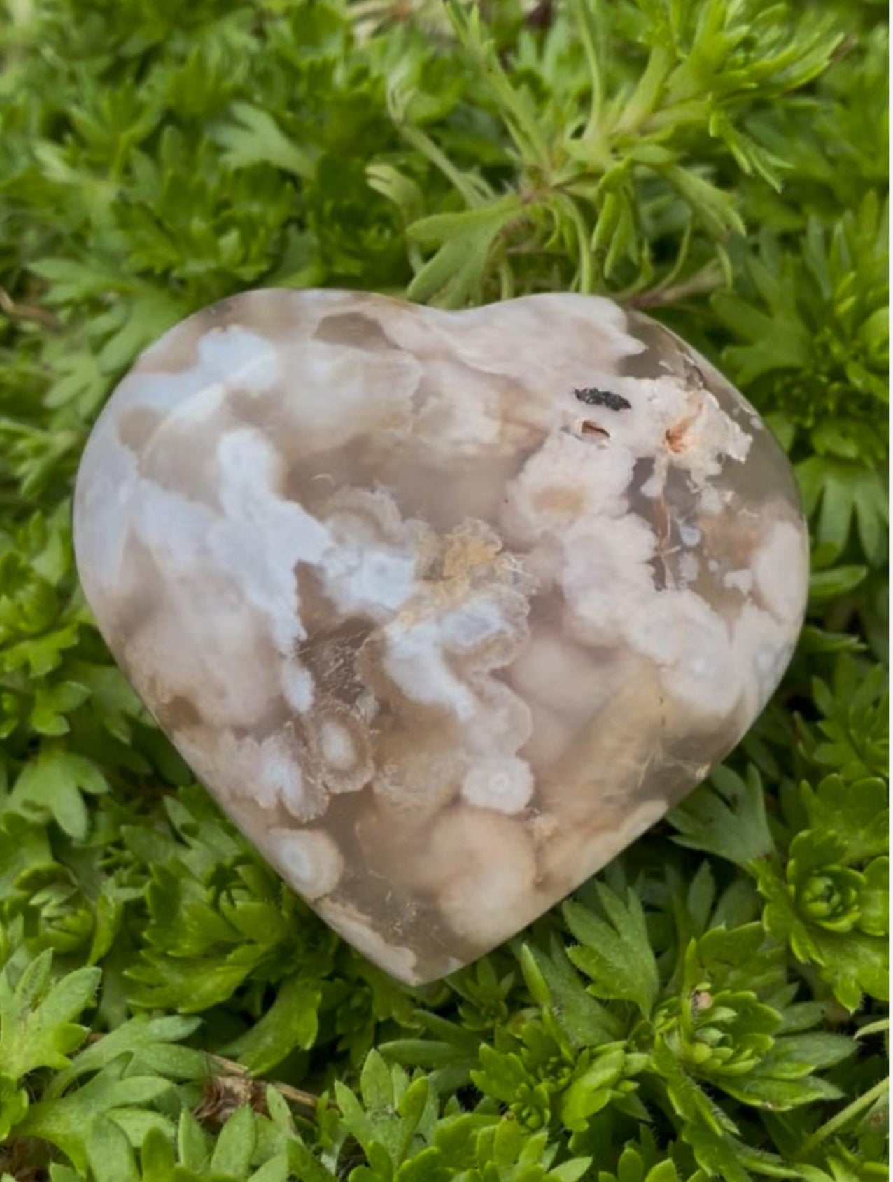 Flower Agate Heart