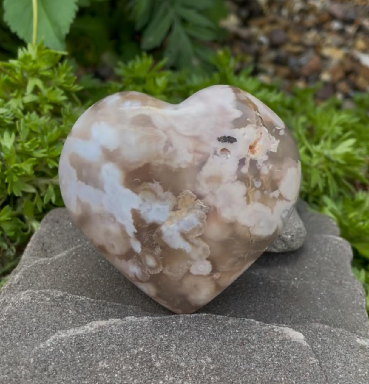 Flower Agate Heart