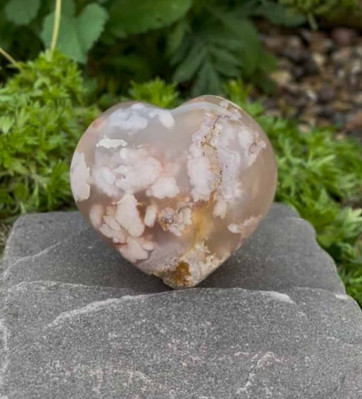 Flower Agate Heart