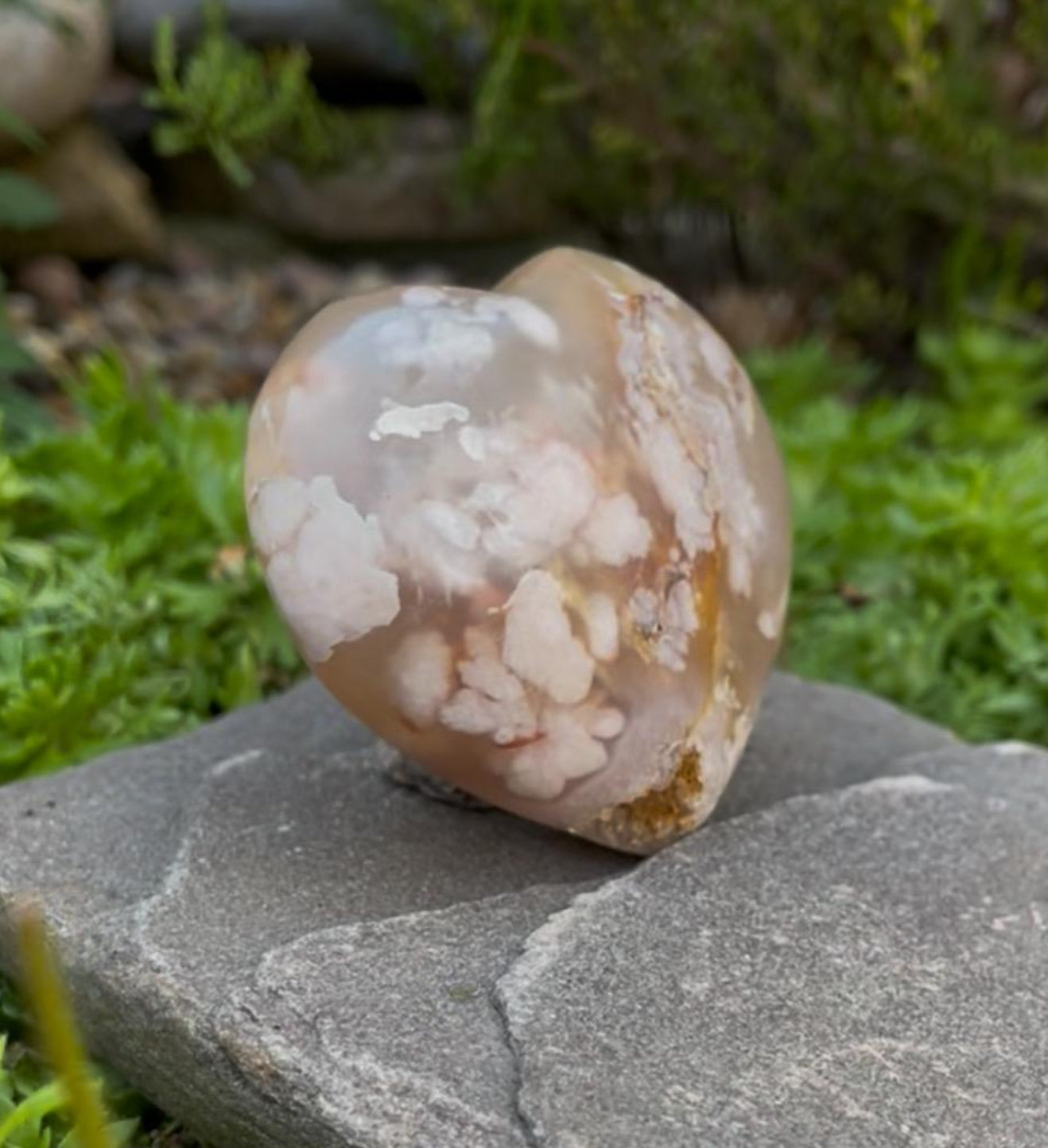 Flower Agate Heart