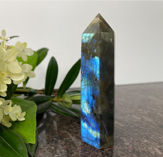 Labradorite Point Tower Crystal - spiritual healing