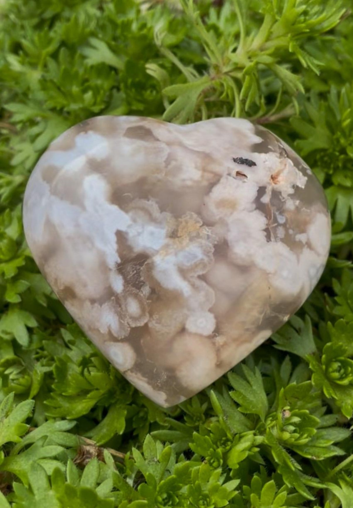 Flower Agate Heart