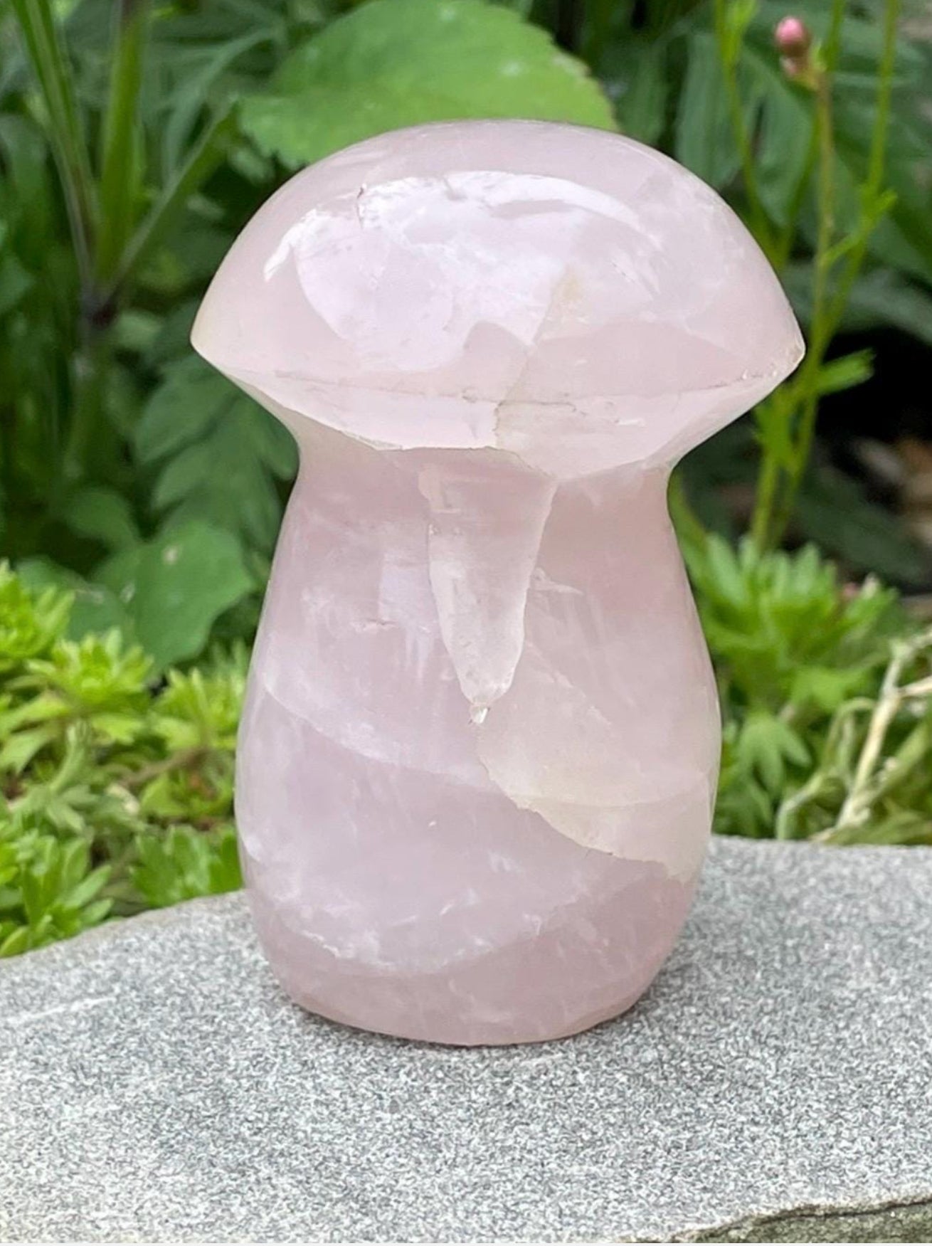 Rose Quartz Mushroom - spiritual healing